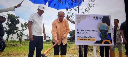 Image Caption