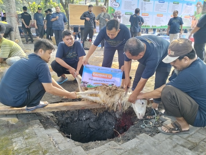 penyembelihan hewan kurban di RS PKU Muhammadiyah Gamping